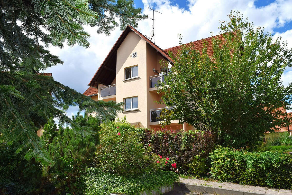 Appartement à ROUNTZENHEIM