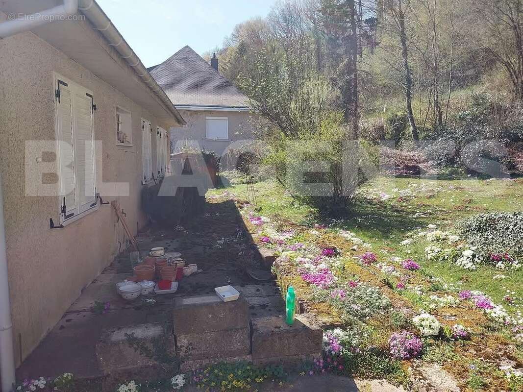 FB_IMG_1745008384280 - Maison à VRIGNE-AUX-BOIS