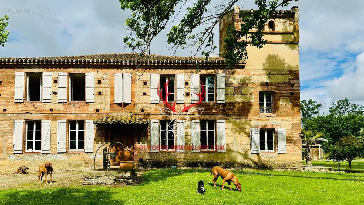 Photo 1 - Maison à MONTAUBAN
