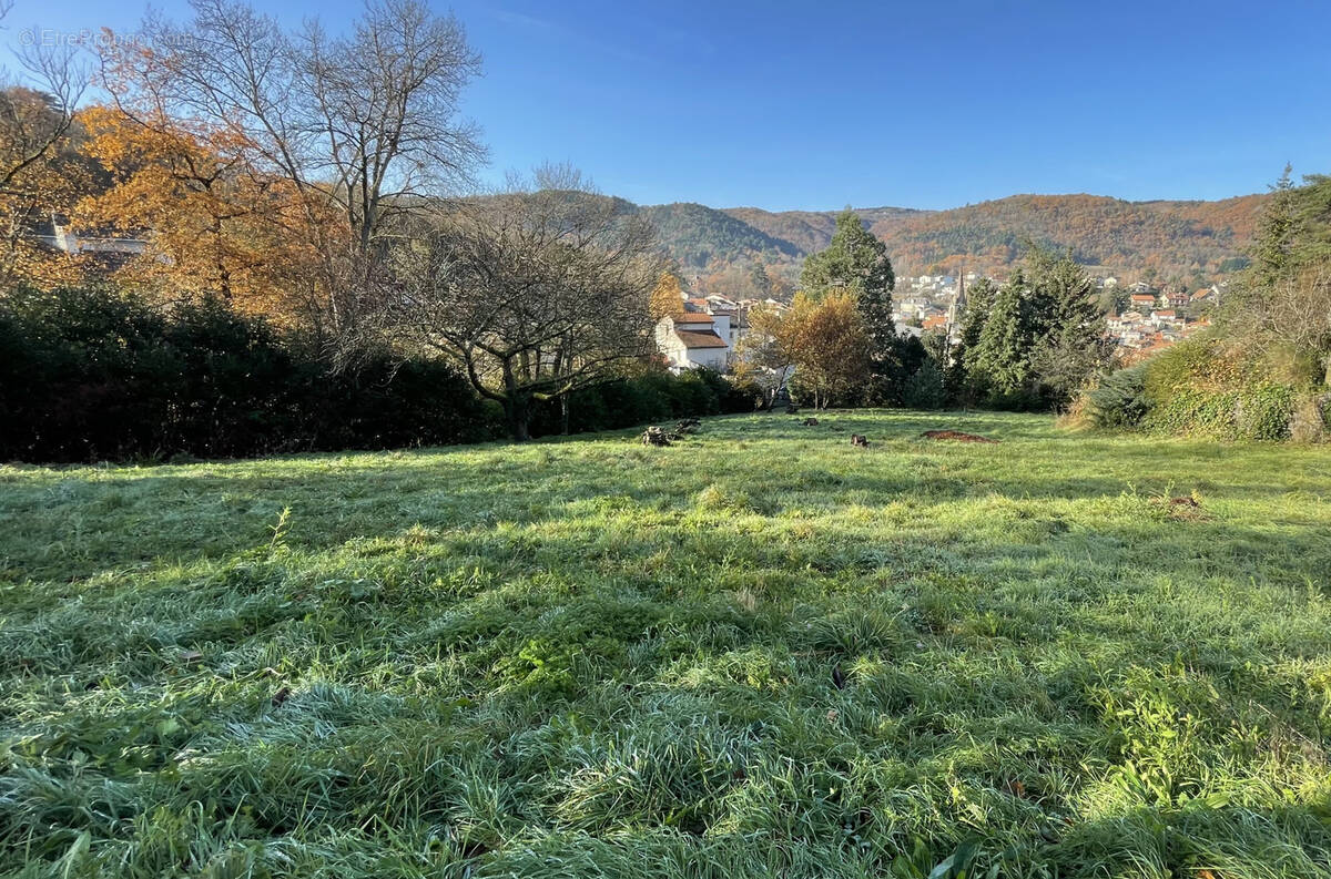 Terrain à NOHANENT