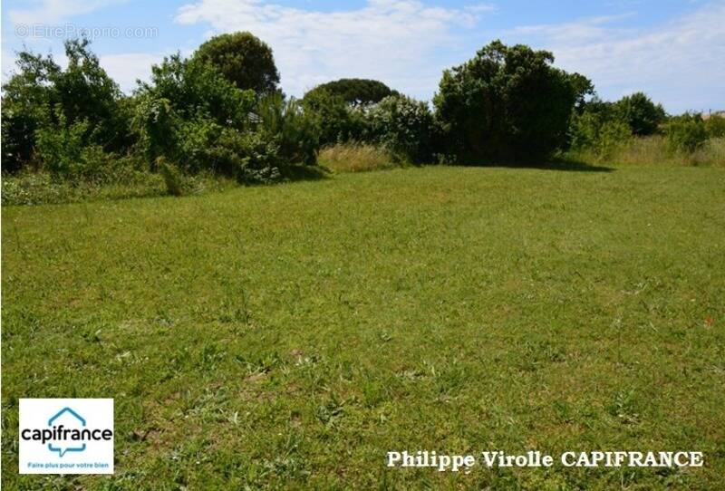 Terrain à SAINT-PIERRE-D&#039;OLERON