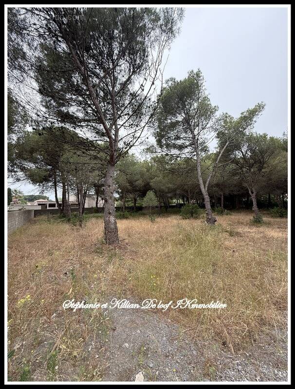Terrain à AGDE