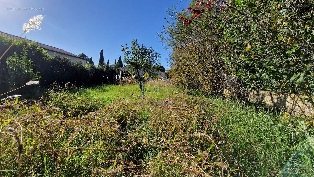 Terrain à ANIANE