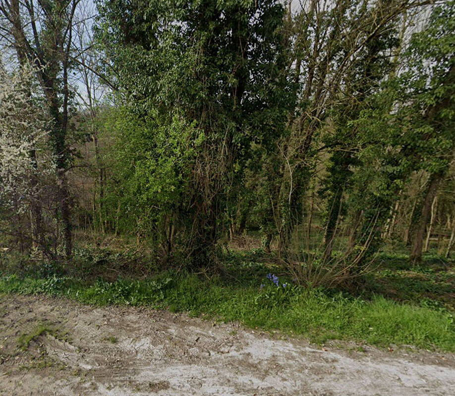 Terrain à FONTAINE-LE-PORT