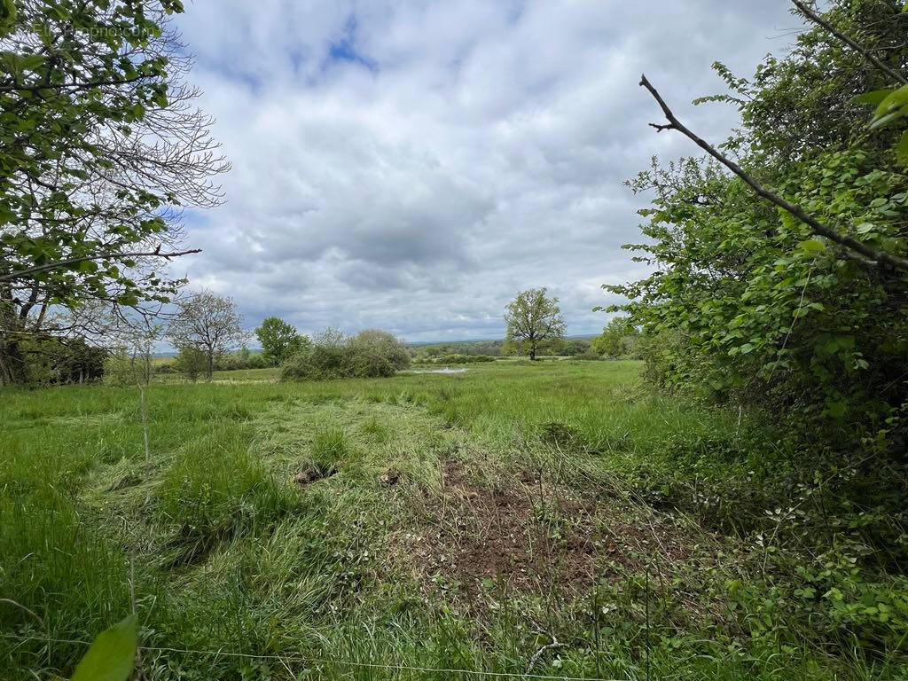 Terrain à THIVIERS