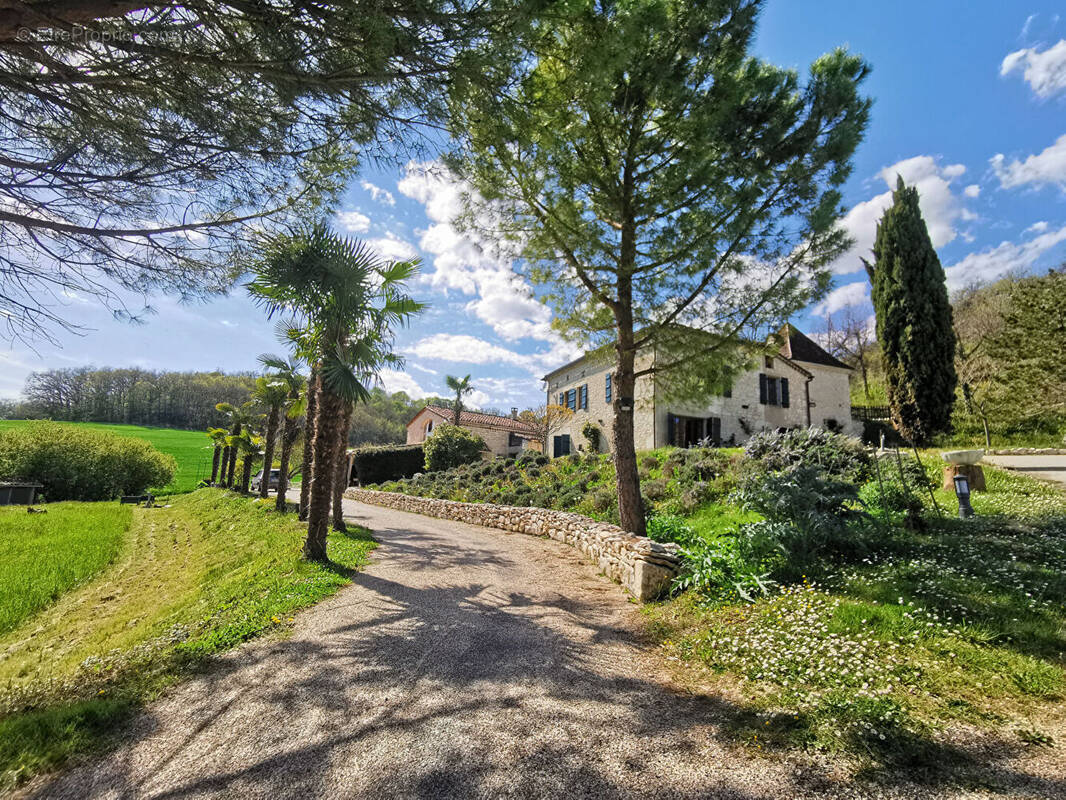 Maison à MONTCUQ