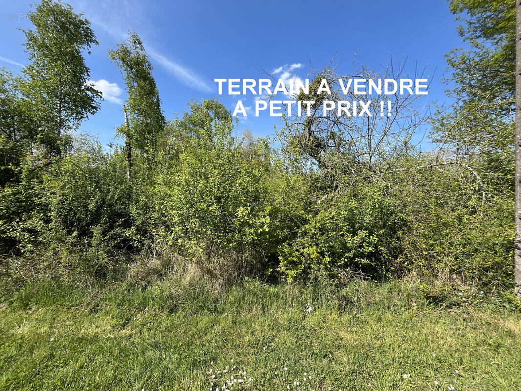 Terrain à EGREVILLE