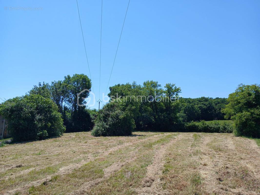 Terrain à MARCIAC