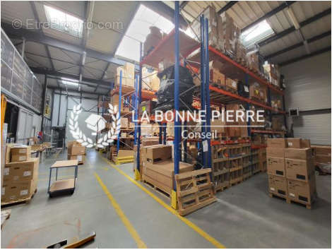 Commerce à SAINT-QUENTIN-FALLAVIER