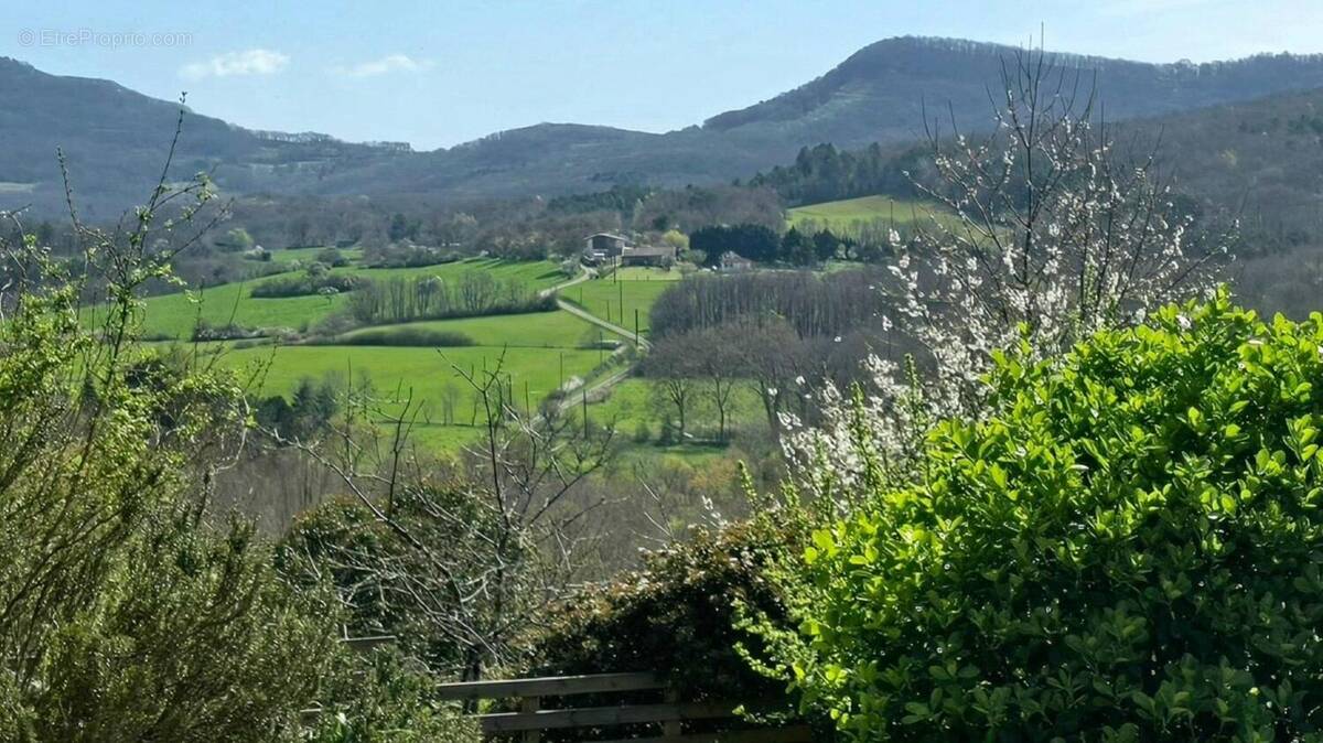Photo 1 - Maison à MIREPOIX