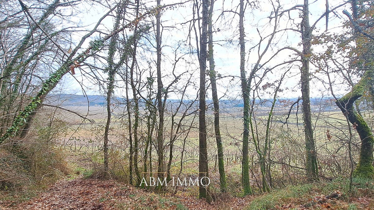 Terrain à LE FLEIX