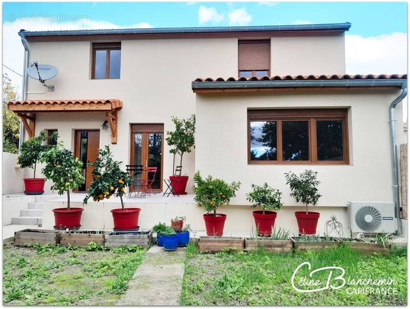 Maison à ALAIGNE