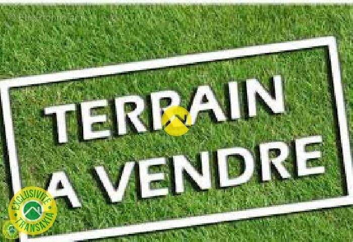 Terrain à MONTRICHARD