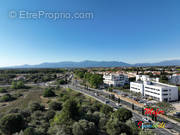 Commerce à PERPIGNAN