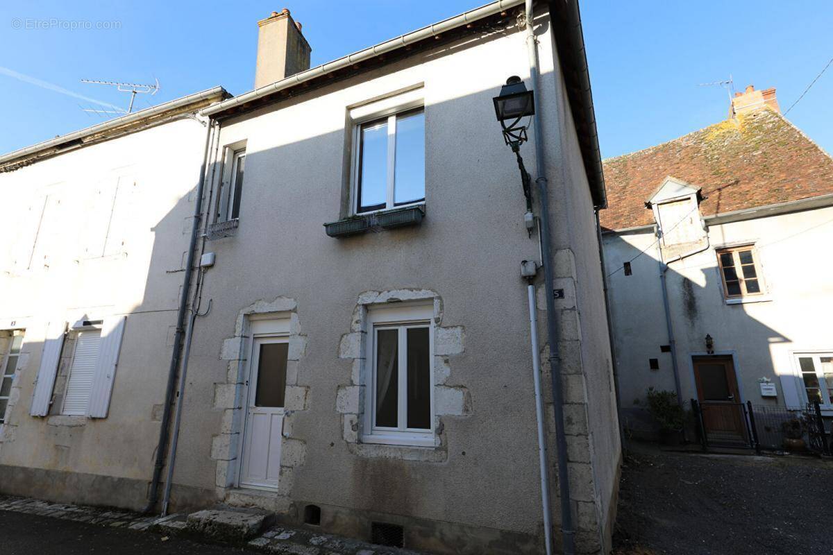 Maison à OUZOUER-SUR-TREZEE