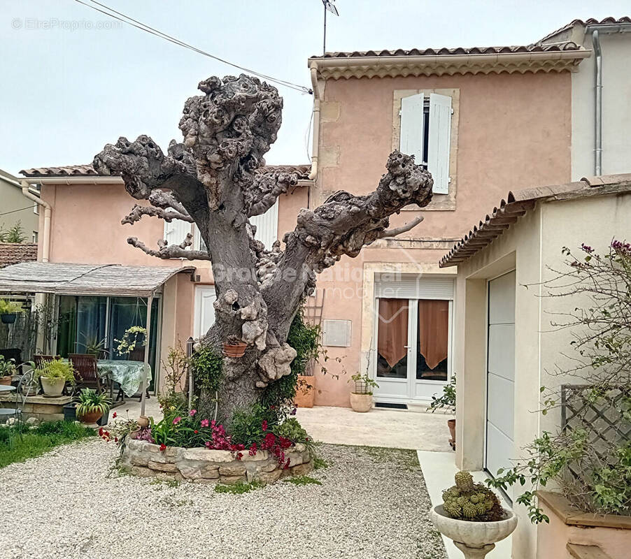 Maison à ARLES