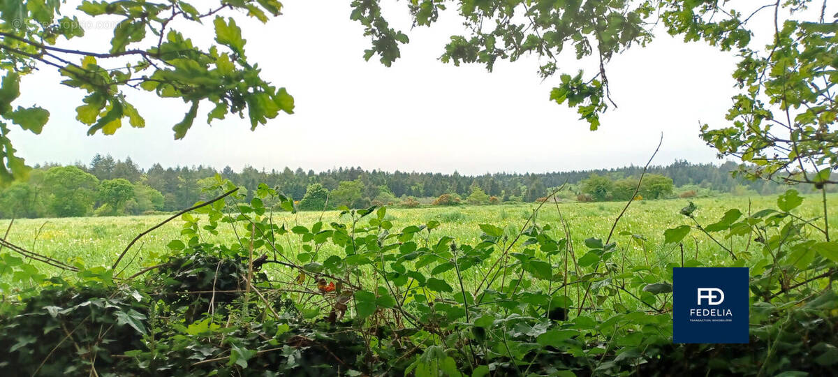 Terrain à ELVEN