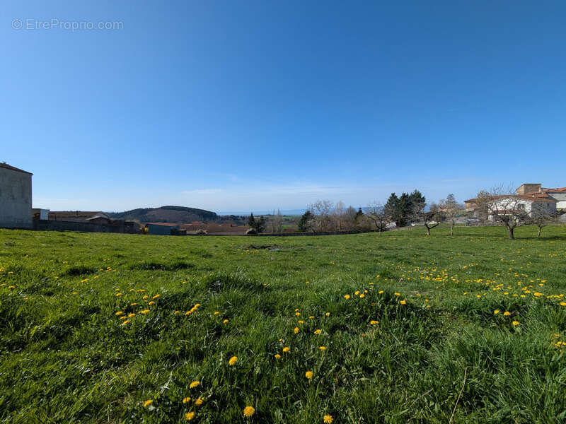 Terrain à COTTANCE