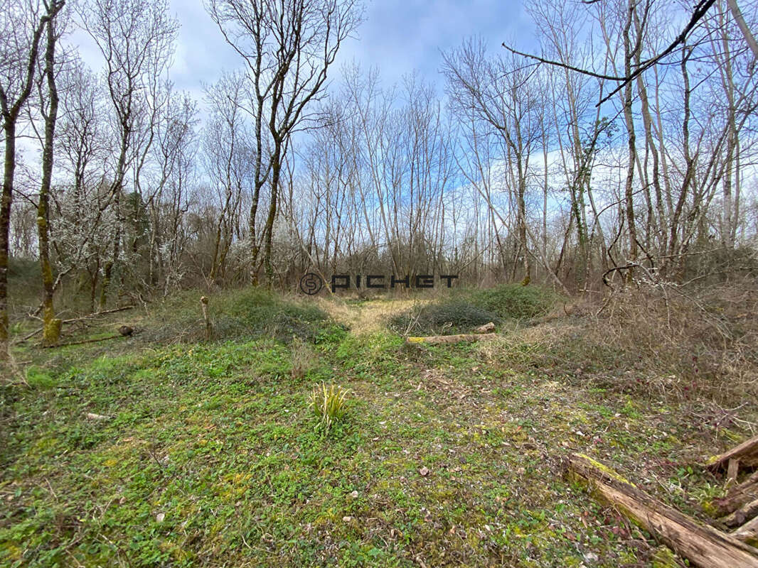 Terrain à FRONSAC