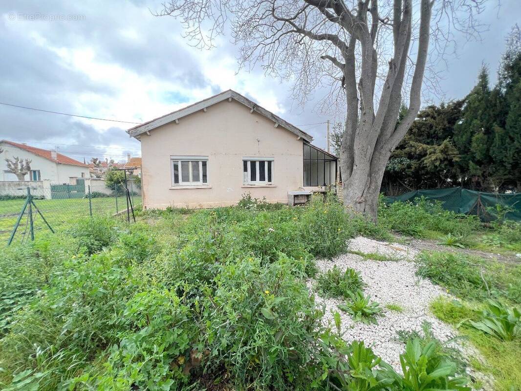 Photo 1 - Maison à ALIGNAN-DU-VENT