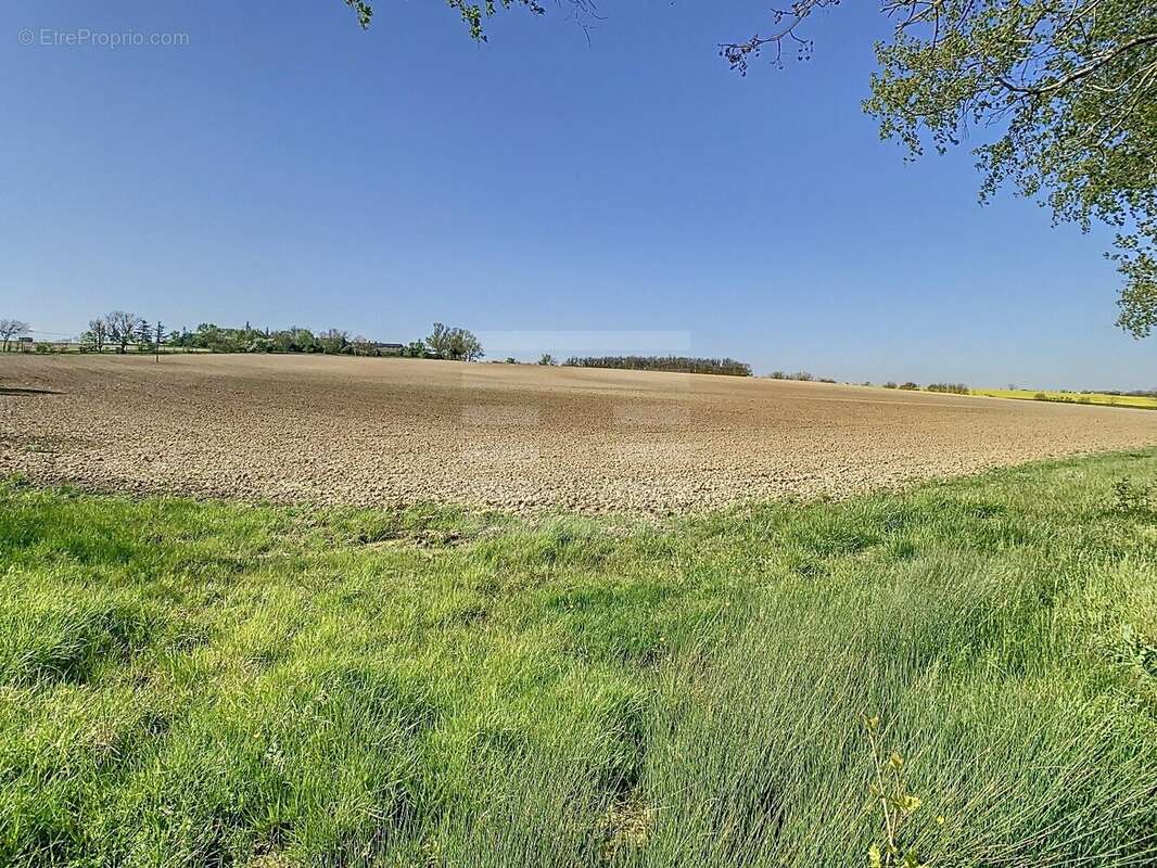 Terrain à SAINT-FELIX-LAURAGAIS
