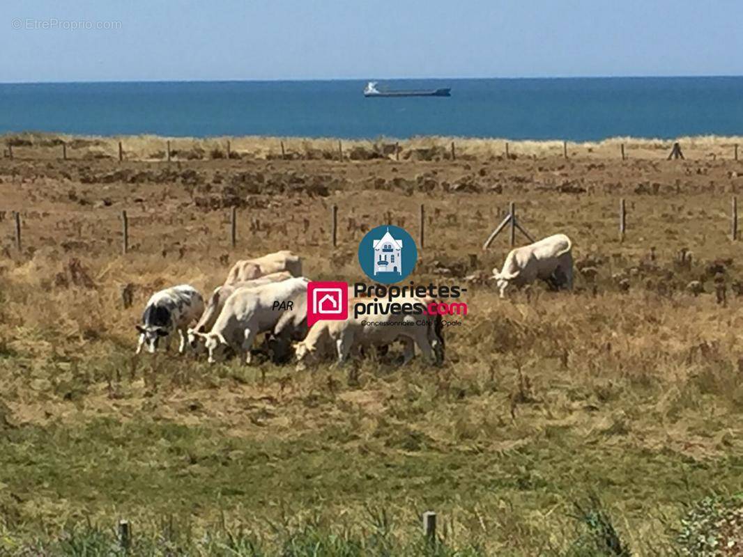 Appartement à WIMEREUX