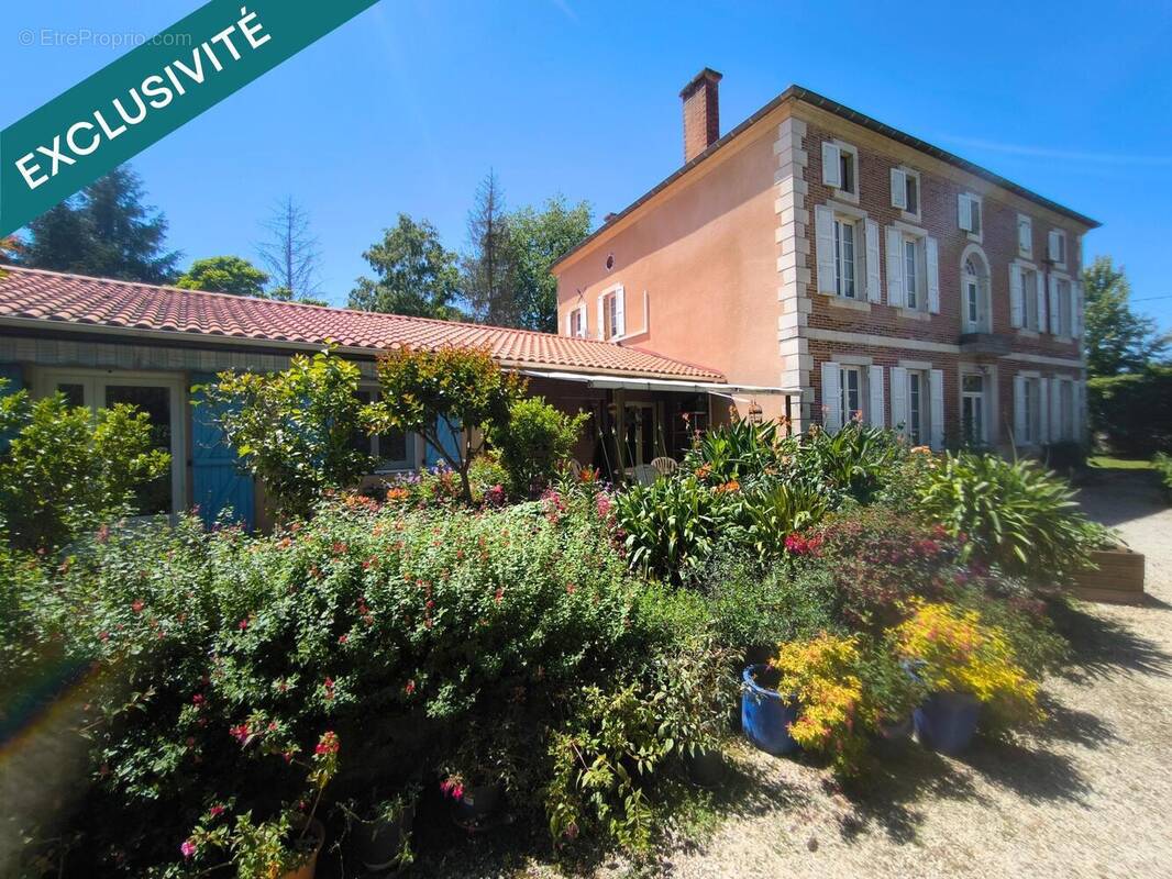 Photo 1 - Maison à NOGARO