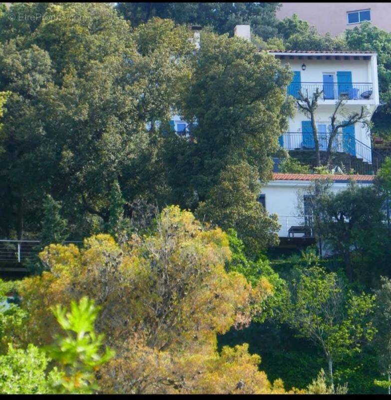 Maison à LAROQUE-DES-ALBERES