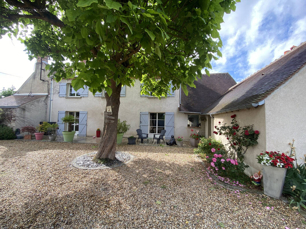 Maison à OLIVET