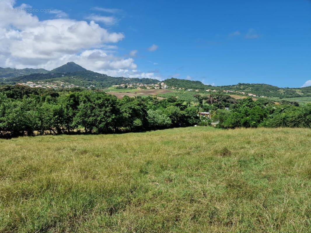 Terrain à LE VAUCLIN
