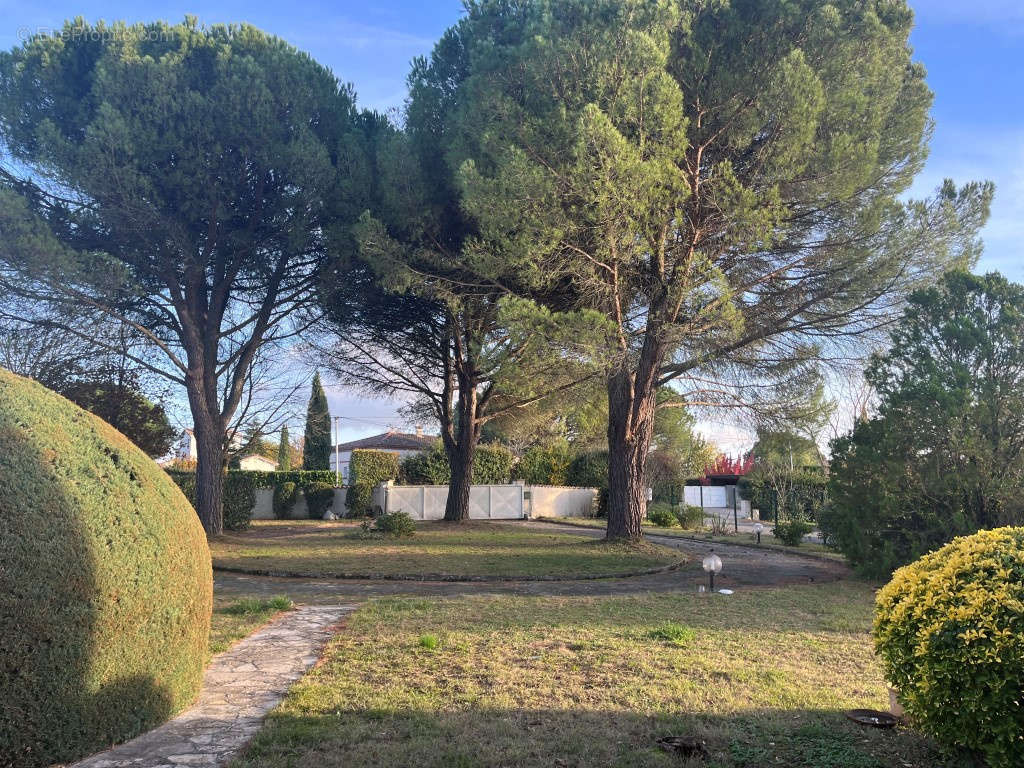 Maison à MONTRABE