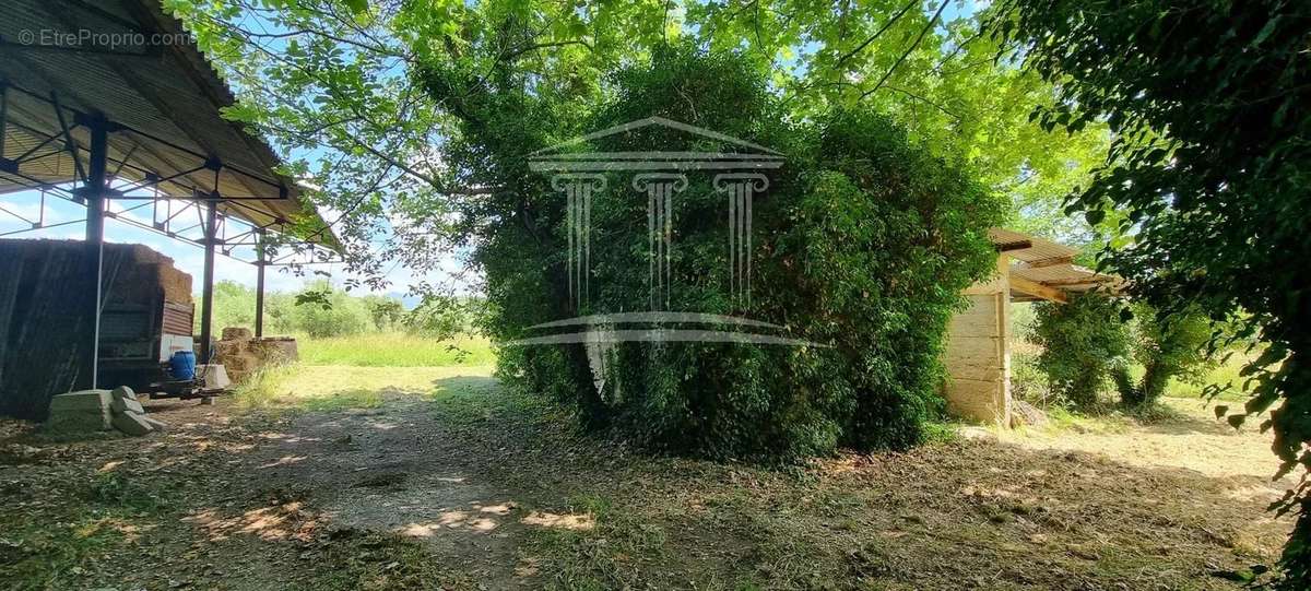 Maison à COURTHEZON