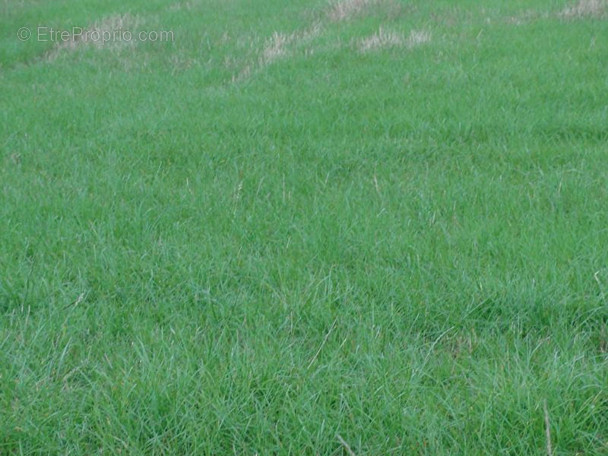 Terrain à LA CHAPELLE-NEUVE