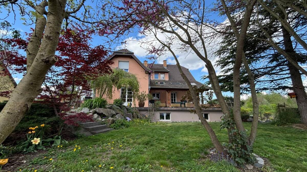 Maison à COLMAR