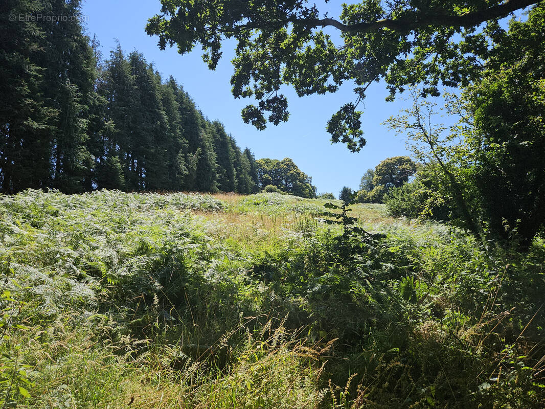 Terrain à CLEGUEREC