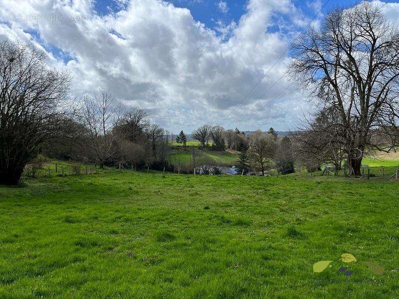 Terrain à LA CROISILLE-SUR-BRIANCE