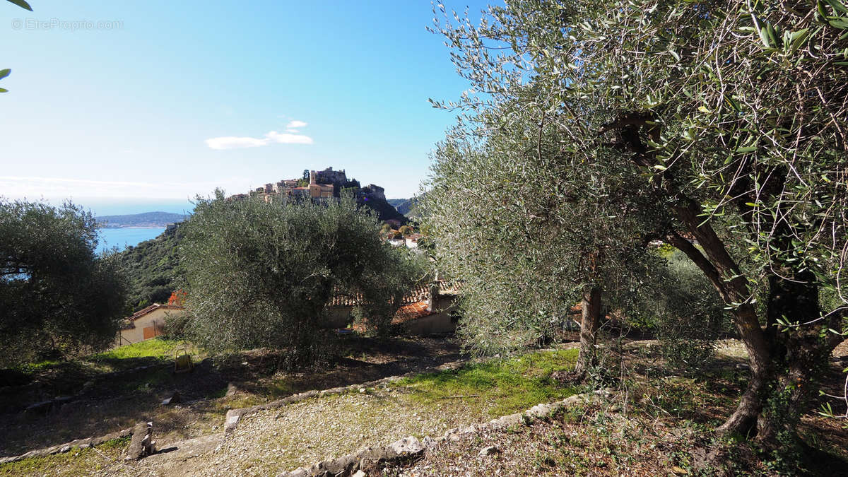 Terrain à EZE