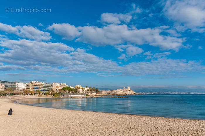 Commerce à ANTIBES