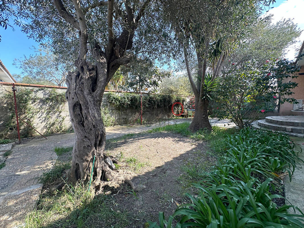 Maison à ARGELES-SUR-MER
