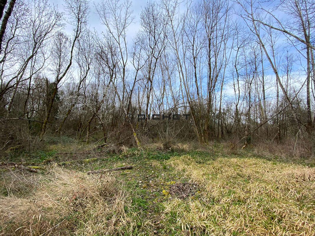 Terrain à FRONSAC