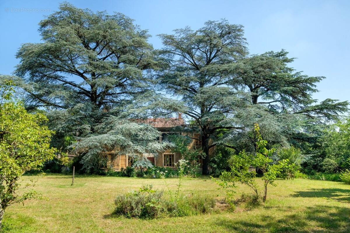 Maison à CALUIRE-ET-CUIRE