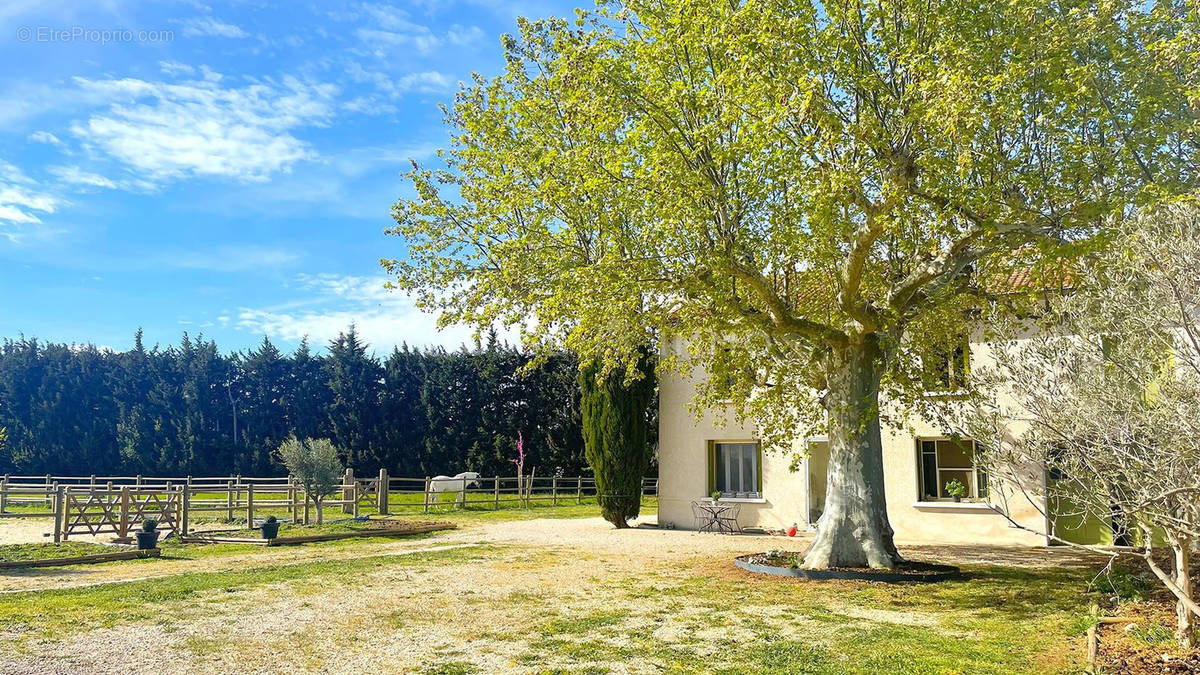 Maison à AVIGNON