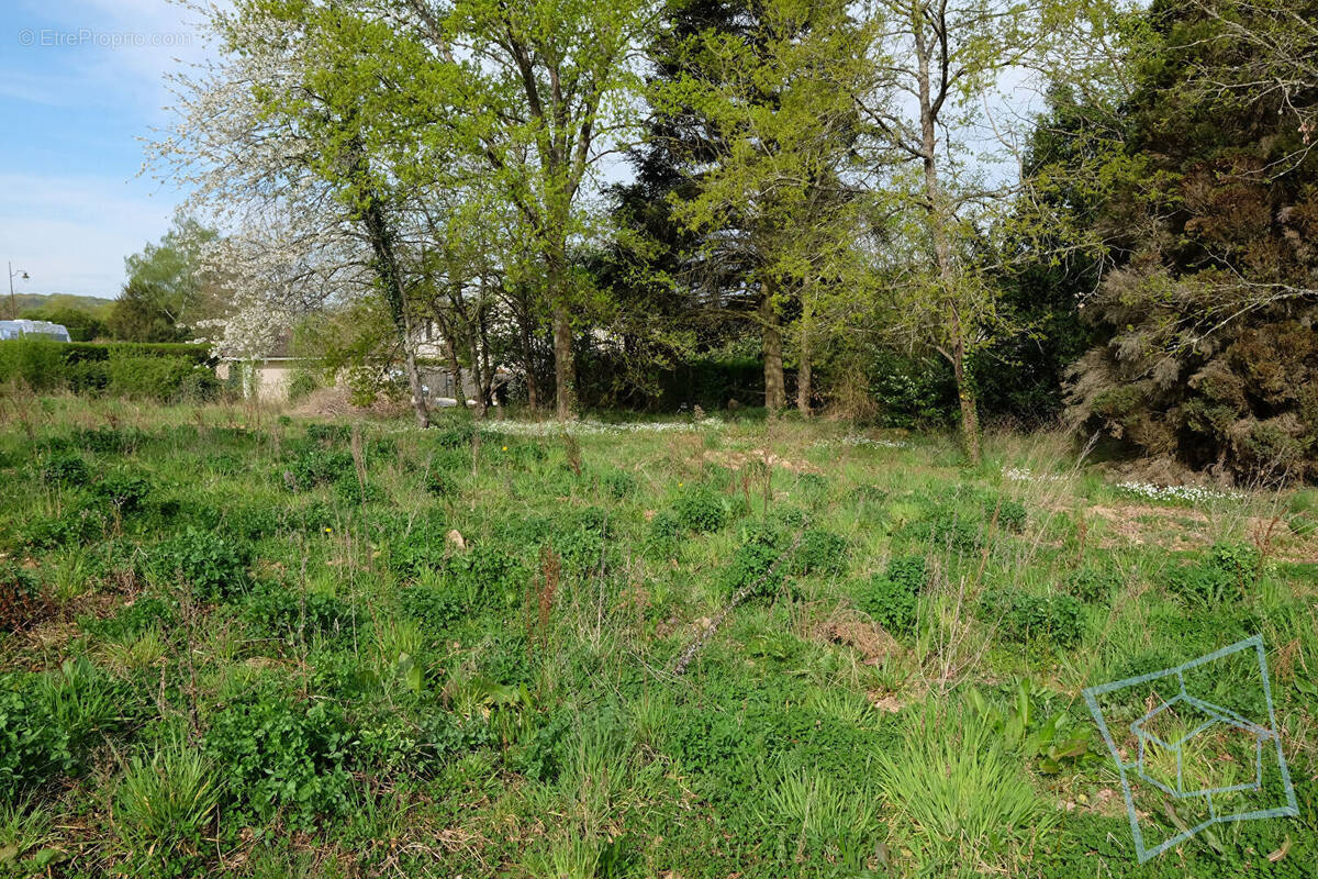Terrain à CHEVREUSE