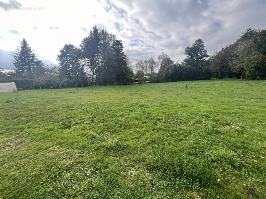 Terrain à PLOERMEL
