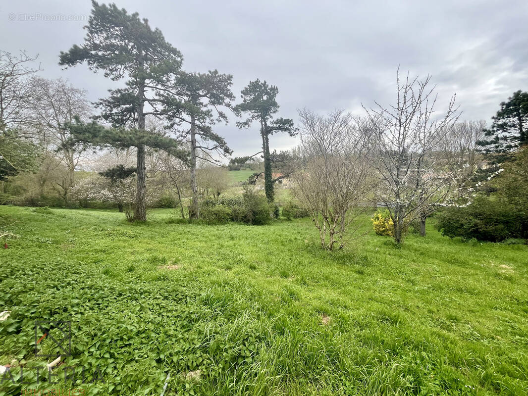Terrain à LABASTIDE-BEAUVOIR