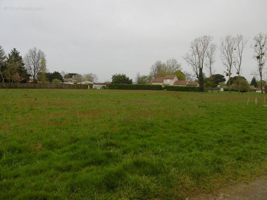 Terrain à LANGON