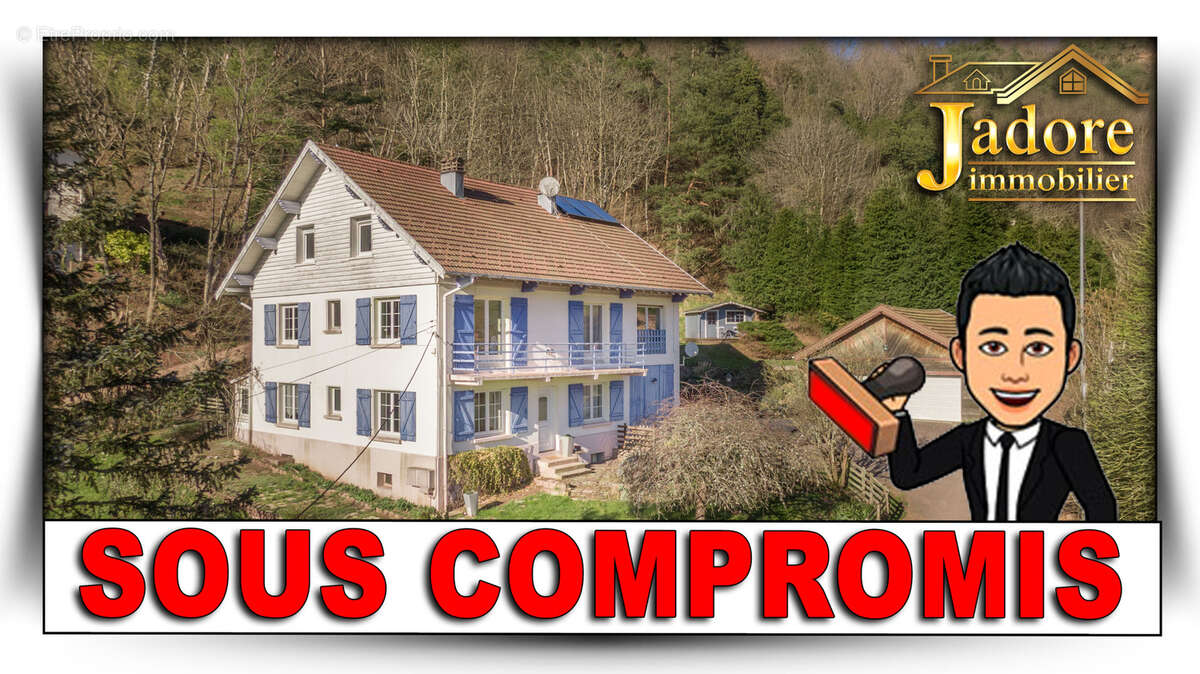 Maison à SAINT-DIE-DES-VOSGES