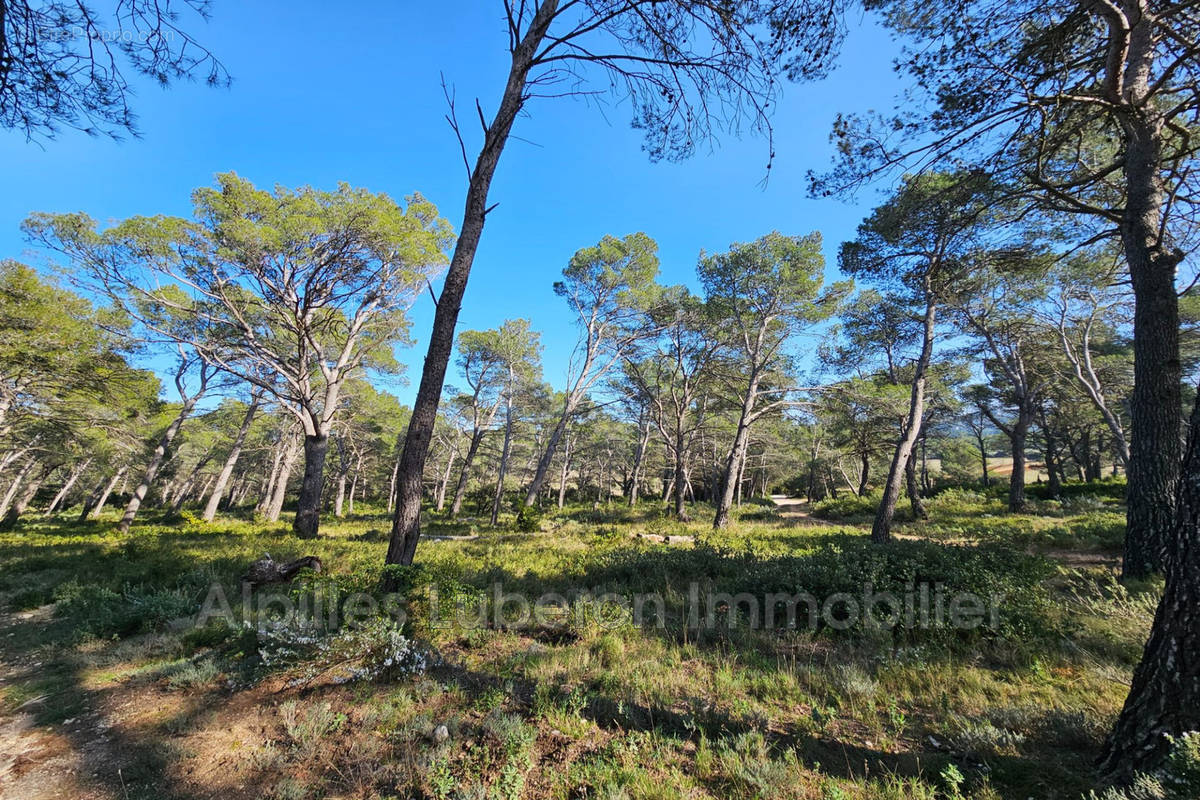 Terrain à ORGON