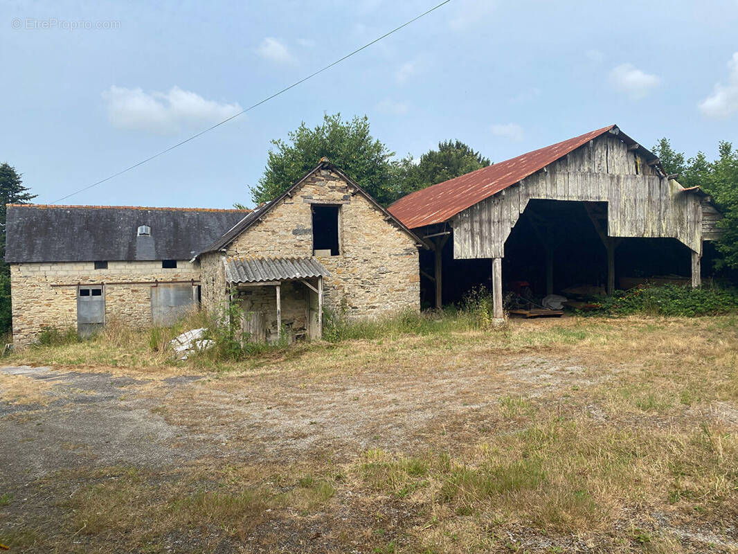 Maison à EDERN