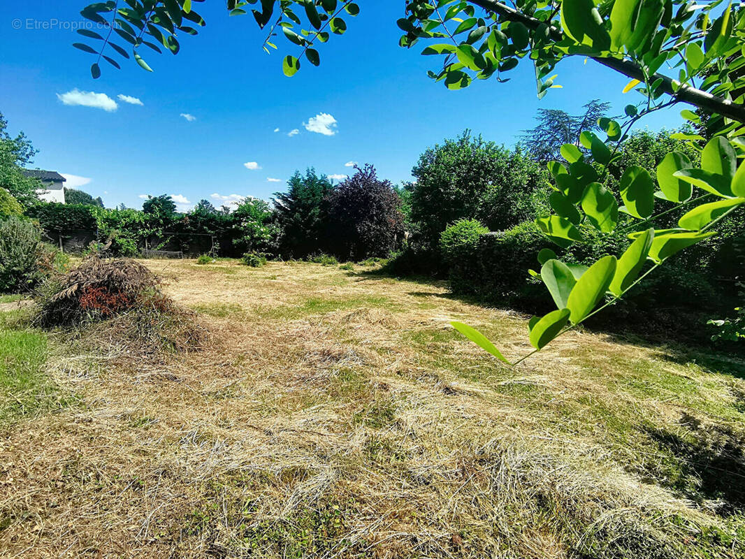 Terrain à REYRIEUX